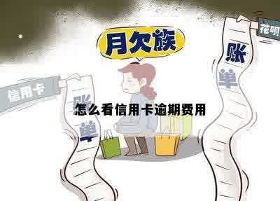 怎么看信用卡逾期费用