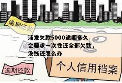 浦发欠款5000逾期多久会要求一次性还全部欠款，没钱还怎么办