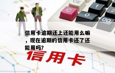 信用卡逾期还上还能用么嘛，现在逾期的信用卡还了还能用吗？