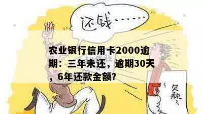 农业银行信用卡2000逾期：三年未还，逾期30天，6年还款金额？