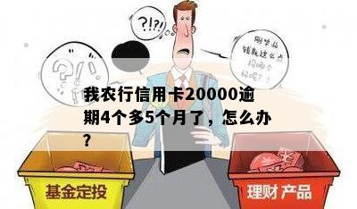 我农行信用卡20000逾期4个多5个月了，怎么办？