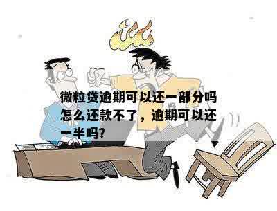 微粒贷逾期可以还一部分吗怎么还款不了，逾期可以还一半吗？