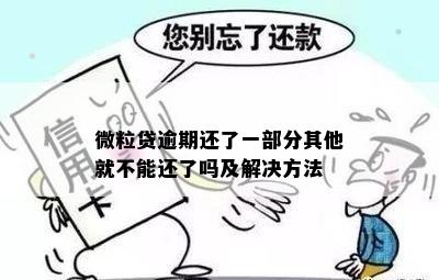 微粒贷逾期还了一部分其他就不能还了吗及解决方法