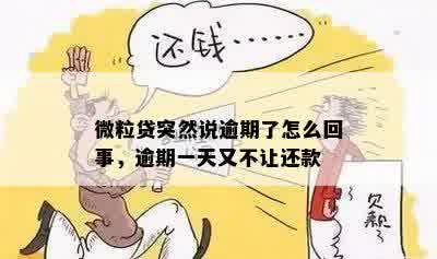 微粒贷突然说逾期了怎么回事，逾期一天又不让还款