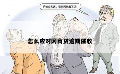 怎么应对网商贷逾期催收