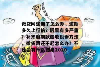 微贷网逾期了怎么办，逾期多久上征信？后果有多严重？补齐逾期款催收投诉方法，微贷网还不起怎么办？不还会有什么结果2020