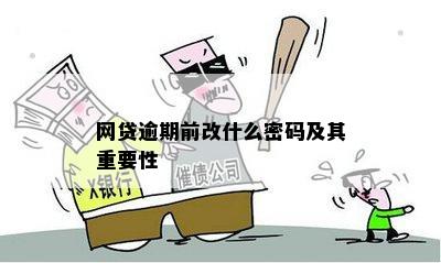 网贷逾期前改什么密码及其重要性