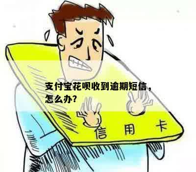 支付宝花呗收到逾期短信，怎么办？