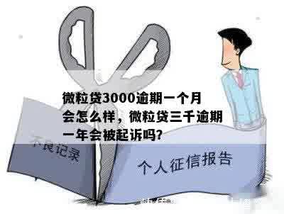 微粒贷3000逾期一个月会怎么样，微粒贷三千逾期一年会被起诉吗？