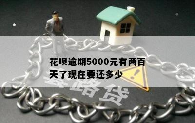 花呗逾期5000元有两百天了现在要还多少