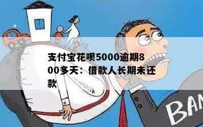 支付宝花呗5000逾期800多天：借款人长期未还款