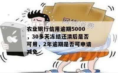 农业银行信用逾期5000，30多天冻结还清后是否可用，2年逾期是否可申请减免