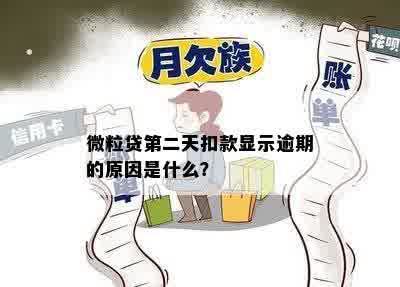 微粒贷第二天扣款显示逾期的原因是什么？