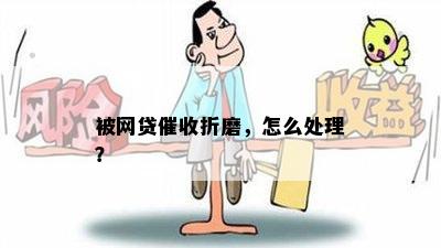 被网贷催收折磨，怎么处理？