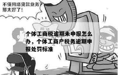 个体工商税逾期未申报怎么办，个体工商户税务逾期申报处罚标准