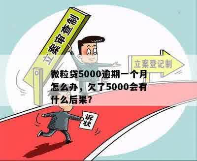 微粒贷5000逾期一个月怎么办，欠了5000会有什么后果？