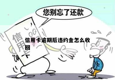 信用卡逾期后违约金怎么收回