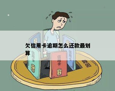 欠信用卡逾期怎么还款最划算