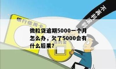 微粒贷逾期5000一个月怎么办，欠了5000会有什么后果？