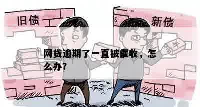 网贷逾期了一直被催收，怎么办？