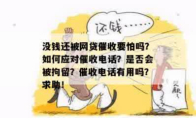 没钱还被网贷催收要怕吗？如何应对催收电话？是否会被拘留？催收电话有用吗？求助！