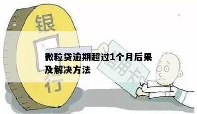 微粒贷逾期超过1个月后果及解决方法