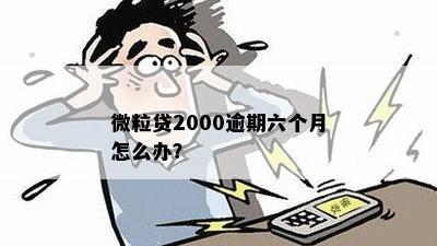 微粒贷2000逾期六个月怎么办？