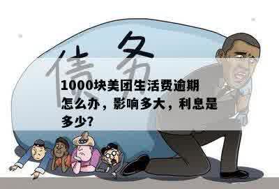 1000块美团生活费逾期怎么办，影响多大，利息是多少？