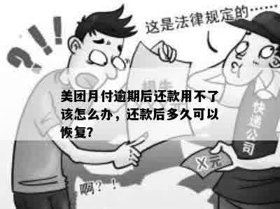 美团月付逾期后还款用不了该怎么办，还款后多久可以恢复？