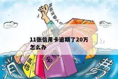 11张信用卡逾期了20万怎么办