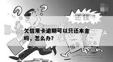 欠信用卡逾期可以只还本金吗，怎么办？