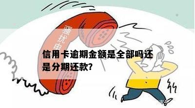 信用卡逾期金额是全部吗还是分期还款？