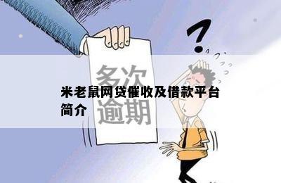 米老鼠网贷催收及借款平台简介