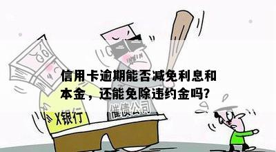 信用卡逾期能否减免利息和本金，还能免除违约金吗？