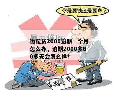 微粒贷2000逾期一个月怎么办，逾期2000多60多天会怎么样？