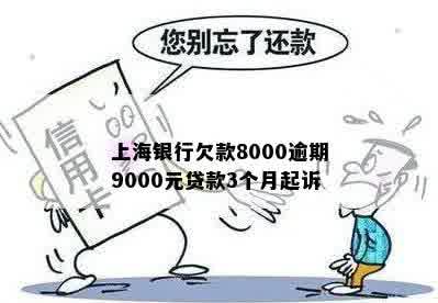 上海银行欠款8000逾期9000元贷款3个月起诉