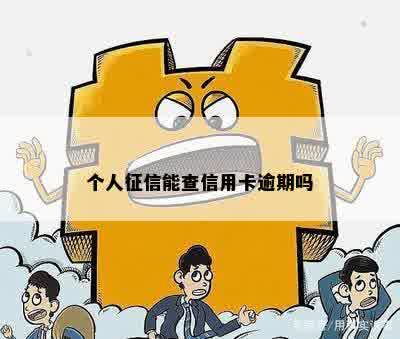 个人征信能查信用卡逾期吗