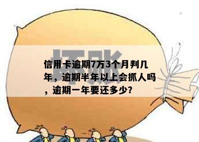 信用卡逾期7万3个月判几年，逾期半年以上会抓人吗，逾期一年要还多少？