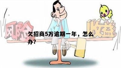 欠招商5万逾期一年，怎么办？