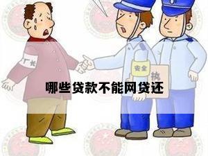 哪些贷款不能网贷还