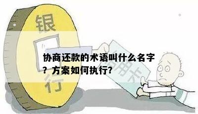 协商还款的术语叫什么名字？方案如何执行？