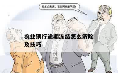 农业银行逾期冻结怎么解除及技巧