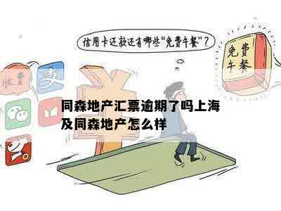 同森地产汇票逾期了吗上海及同森地产怎么样