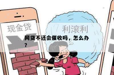 网贷不还会催收吗，怎么办？