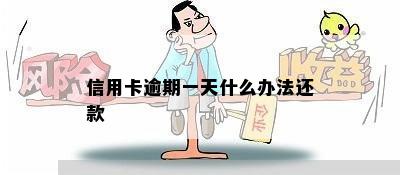 信用卡逾期一天什么办法还款