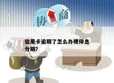 信用卡逾期了怎么办理停息分期？