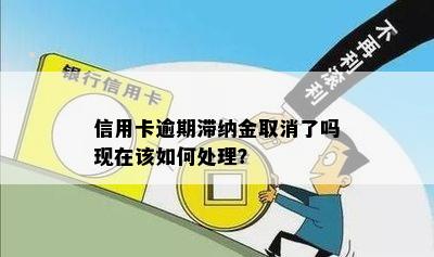 信用卡逾期滞纳金取消了吗现在该如何处理？