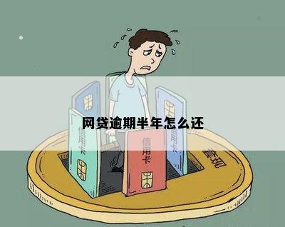 网贷逾期半年怎么还