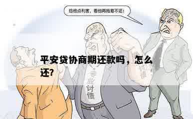 平安贷协商期还款吗，怎么还？