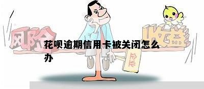 花呗逾期信用卡被关闭怎么办